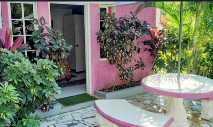Pink Hibiscus Bed And Breakfast มอนเทโกเบย์ ภายนอก รูปภาพ