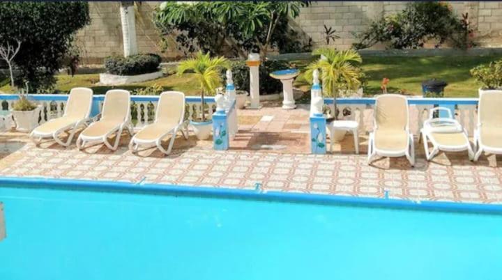 Pink Hibiscus Bed And Breakfast มอนเทโกเบย์ ภายนอก รูปภาพ