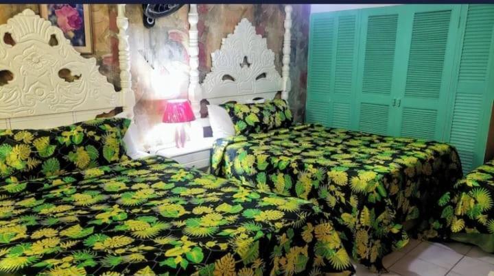 Pink Hibiscus Bed And Breakfast มอนเทโกเบย์ ภายนอก รูปภาพ