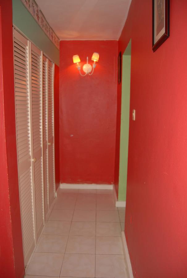 Pink Hibiscus Bed And Breakfast มอนเทโกเบย์ ภายนอก รูปภาพ
